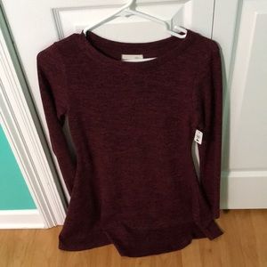 Maroon and Black Sweater Dress
